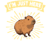 Capybara