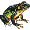 Frog Head