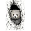 Bébé ours - Bébé nounours
