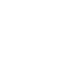 Cat owns the house