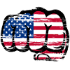 USA Flag Hand Fist Used