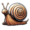 Snail / Animal / Crawling / Slimy / Slow