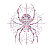 Araignée