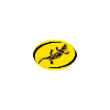 salamandre fond jaune