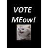 Vote Meow Katziger Wahlwitz