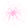 Spider in the web Halloween