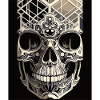 Artful Skull