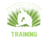 Hapkido Fighter Trainer Hapkido Dojo