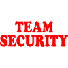 Team security