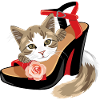 Funny kitten playing with sandals