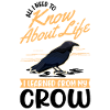 Crow Gift Raven Raven Crow