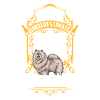 Mann mit Wolfsspitz Deutscher Spitz