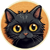 Cute black cat