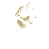 guitar player