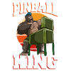 Pinball Machine Pinball Machine