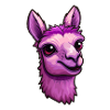 Pink Cute Llama