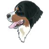 Simple Bernese Mountain Dog Gift