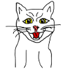 Katze