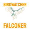 Bird watching, falconry