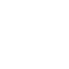 Hunter Falconry
