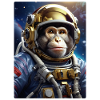 Monkey in Space 1.6