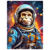 Singe dans l’espace 1.2