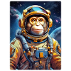 Singe dans l’espace 1.8