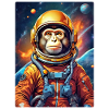 Singe dans l’espace 1.10