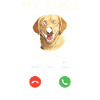Labrador Retriever ruft