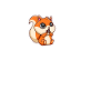 Love Fox Squirrel Grey Squirrel
