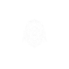 Tier Waldtier Wolf