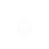 Tier Waldtier Wolf