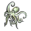 oktopus