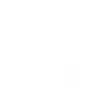 Tier Waldtier Wolf