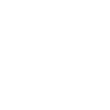 Tier Waldtier Wolf