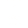 Tier Waldtier Wolf