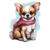 Dog Chihuahua