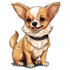 Dog Chihuahua
