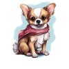 Dog Chihuahua