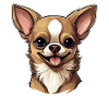 Dog Chihuahua