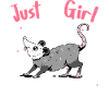 Opossum Possum Animal