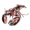 lobster