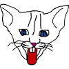 Katze