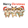 Meerkat Christmas Winter Animals Meerkat