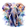 elefant, wasserfarben