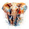 Aquarelle d’éléphant