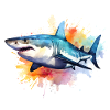 Aquarelles de requin