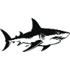 Silhouette de requin Hai