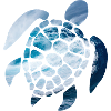 sea turtle