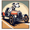 Whippet Greyhound fährt einen Oldtimer-Rennwagen